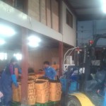 F1002660.JPG 20120416161424